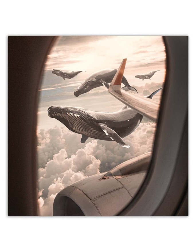 Unusual paintings for the living room - Whale view from a plane Zehem Chong | FEEBY