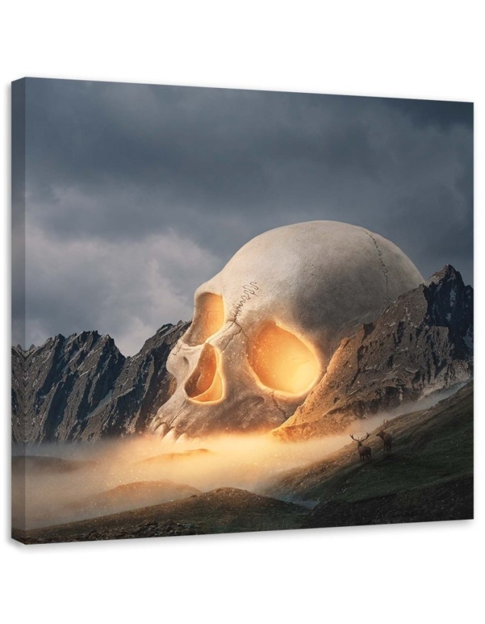 Canvas prints idea for living room - Skull abstract Zehem Chong | FEEBY