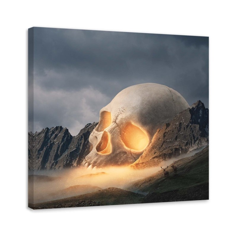 Canvas prints idea for living room - Skull abstract Zehem Chong | FEEBY