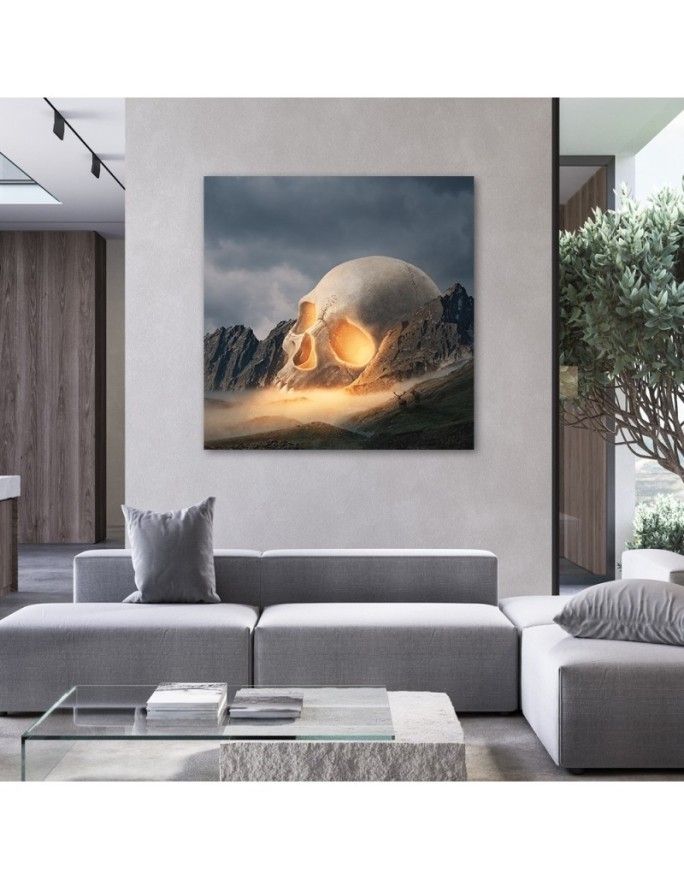 Canvas prints idea for living room - Skull abstract Zehem Chong | FEEBY