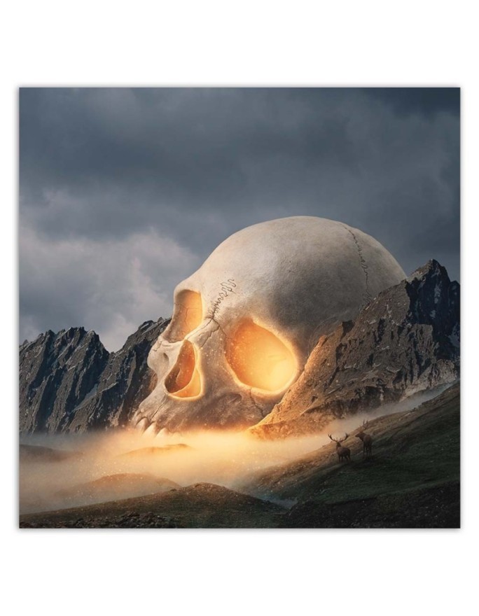 Canvas prints idea for living room - Skull abstract Zehem Chong | FEEBY