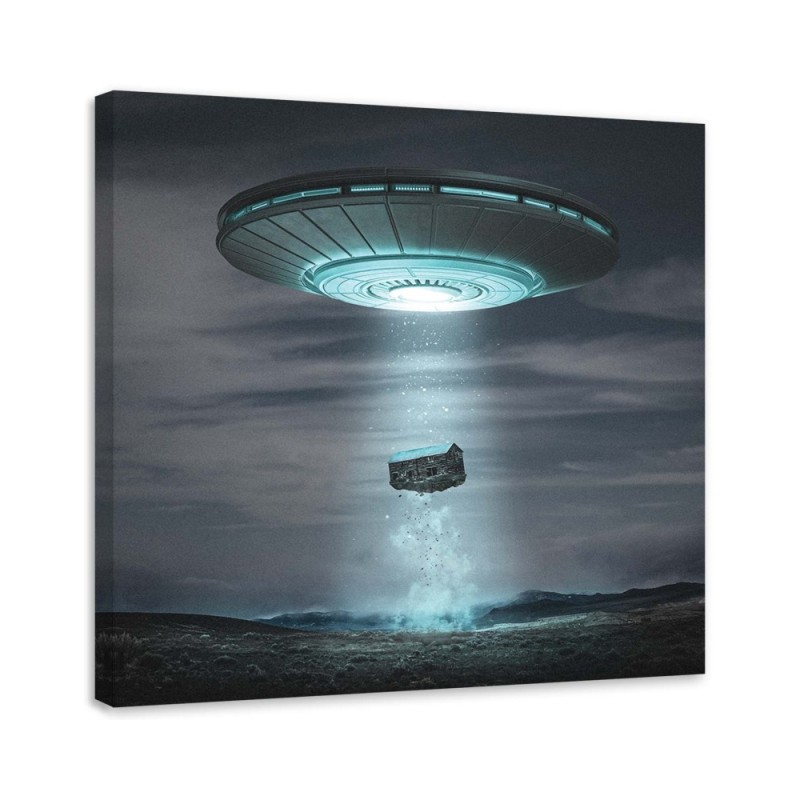 Designer Canvas paintings for living room - Cosmos Zehem Chong | FEEBY