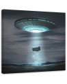 Designer Canvas paintings for living room - Cosmos Zehem Chong | FEEBY