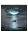 Designer Canvas paintings for living room - Cosmos Zehem Chong | FEEBY