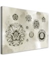 Canvas prints for modern living room - Floral geometric shapes | FEEBY