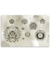 Canvas prints for modern living room - Floral geometric shapes | FEEBY