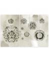 Fashionable Canvas paintings for wall - Floral geometric shapes | FEEBY