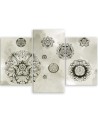 Triptych - Floral geometric shapes | FEEBY