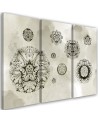 Stylish paintings - Floral geometric shapes | FEEBY