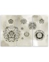 Stylish paintings - Floral geometric shapes | FEEBY