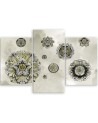 Canvas print triptych - Floral geometric shapes | FEEBY