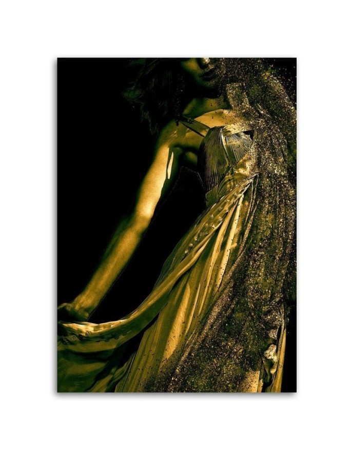 Canvas prints idea for bedroom - Woman in gold dust | FEEBY