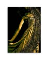 Canvas prints idea for bedroom - Woman in gold dust | FEEBY