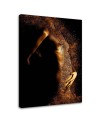 Stylish Canvas paintings for the bedroom - Female nude in gold dust | FEEBY