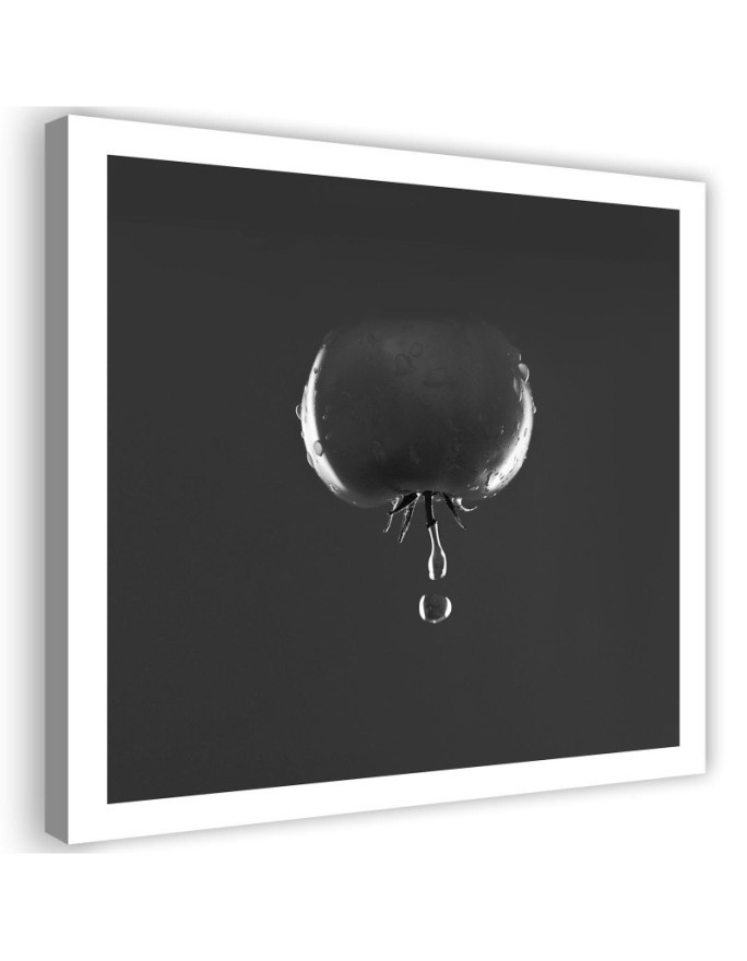 Canvas prints decoration for kitchen - Tomato and water drops black and white | FEEBY