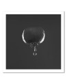 Canvas prints decoration for kitchen - Tomato and water drops black and white | FEEBY