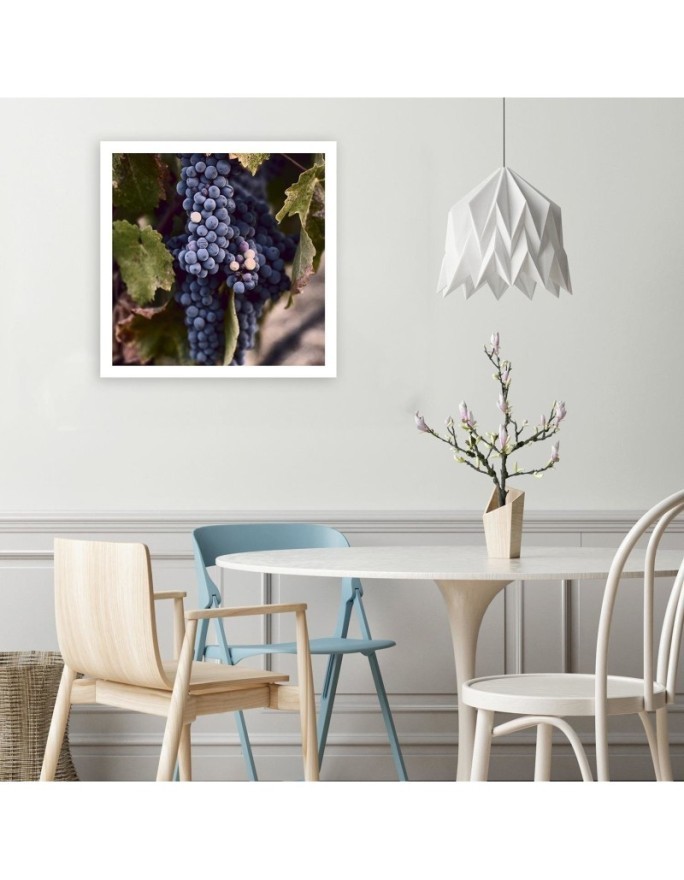 Modern Canvas painting for kitchen - Grape fruit | FEEBY