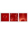 Stylish Canvas prints for the kitchen - Tomatoes water vegetables | FEEBY