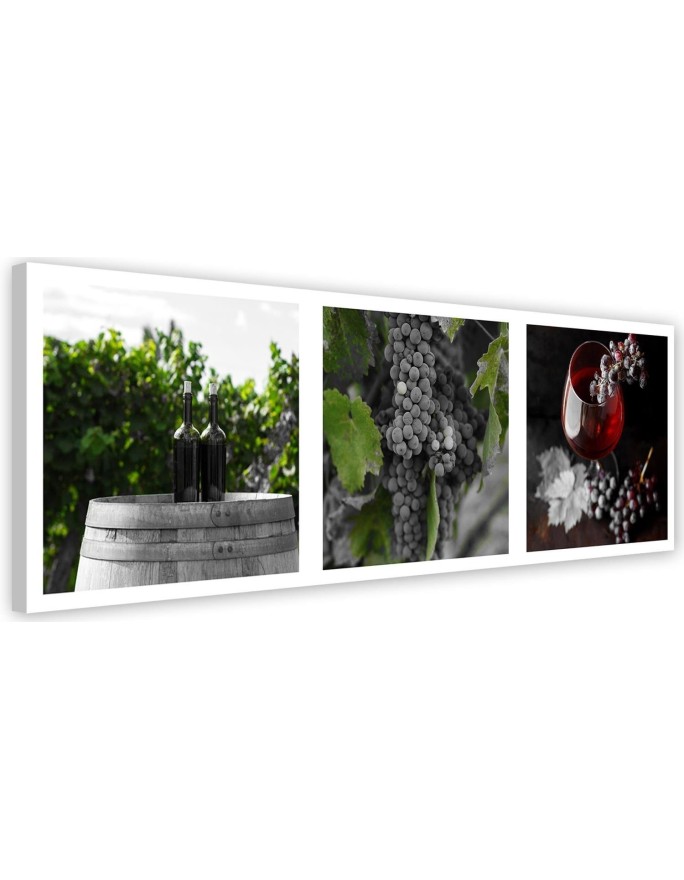 Elegant Canvas prints for the kitchen - Wine grapes vineyard | FEEBY