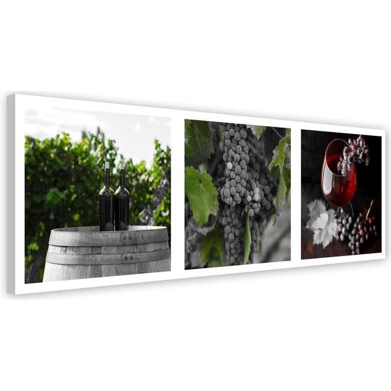 Elegant Canvas prints for the kitchen - Wine grapes vineyard | FEEBY