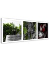 Elegant Canvas prints for the kitchen - Wine grapes vineyard | FEEBY