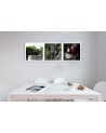 Elegant Canvas prints for the kitchen - Wine grapes vineyard | FEEBY