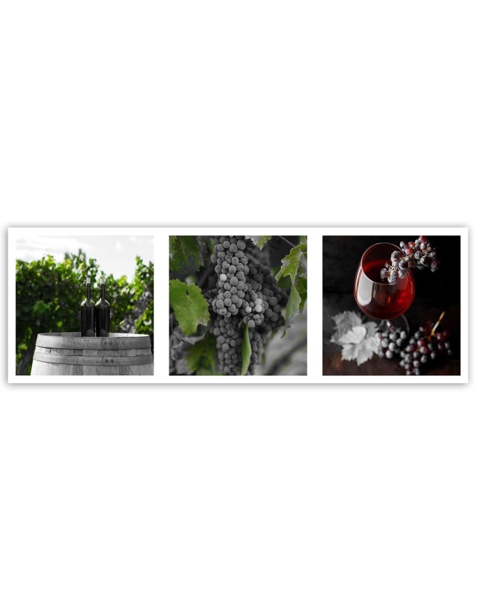 Elegant Canvas prints for the kitchen - Wine grapes vineyard | FEEBY
