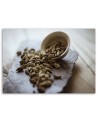 Designer Canvas paintings for the kitchen - Spices for the kitchen cardamom | FEEBY