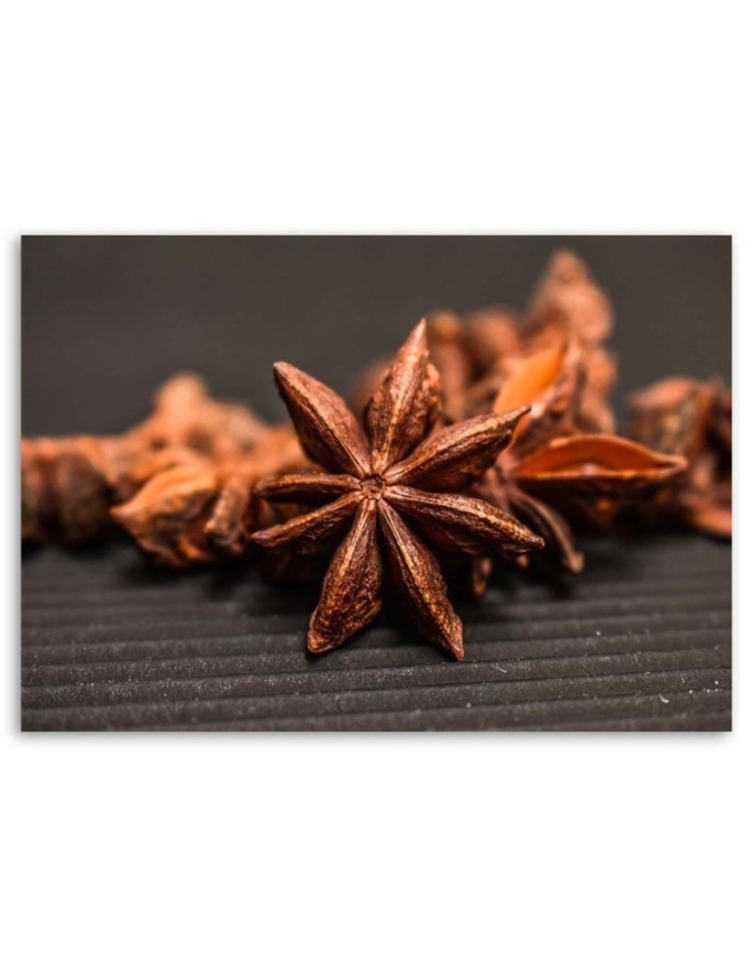Canvas painting for the kitchen - Cinnamon and aniseed | FEEBY