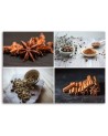 Wall art painting - Cinnamon cardamom spice collage | FEEBY
