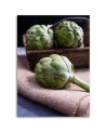 Wall art painting for the kitchen - Fresh artichokes | FEEBY