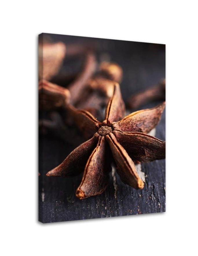 Canvas print - Star anise for kitchen | FEEBY