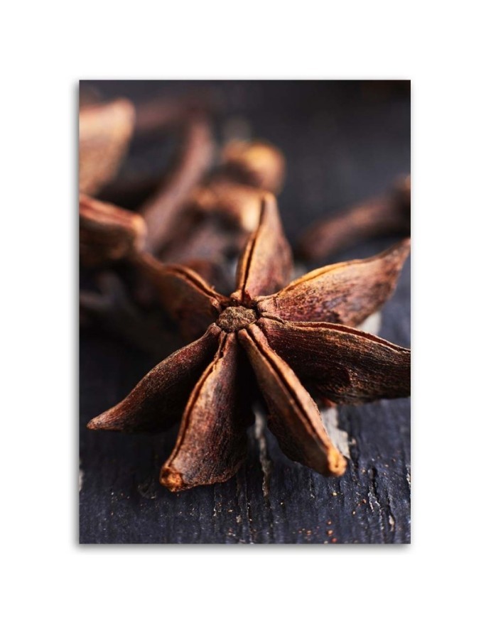 Canvas print - Star anise for kitchen | FEEBY