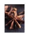 Canvas print - Star anise for kitchen | FEEBY