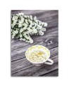 Canvas painting for the kitchen - Chamomile infusion | FEEBY