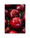 Modern Canvas paintings for the kitchen - Juicy cherries | FEEBY