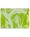 Modern Canvas paintings for the kitchen - Juicy lime | FEEBY