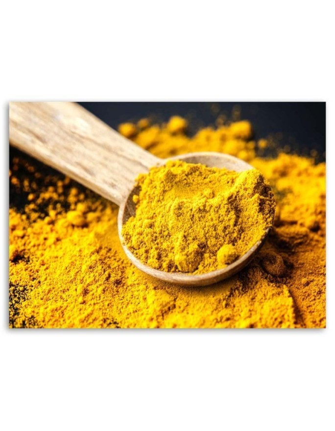 Wall art painting for the kitchen - Turmeric | FEEBY