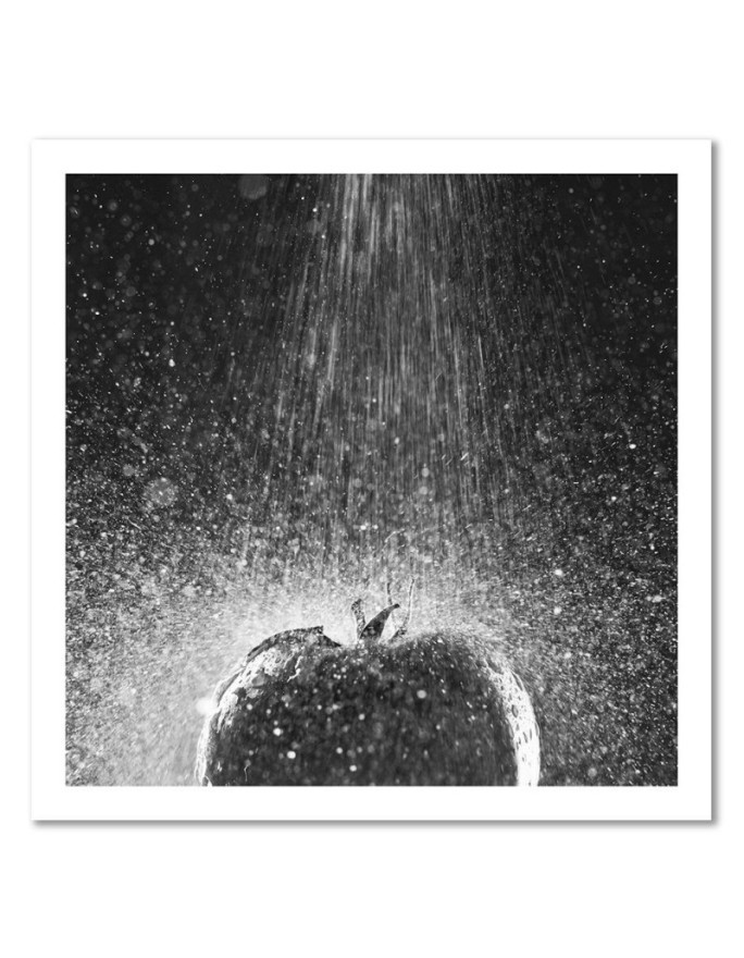 Canvas painting for the kitchen - Tomato in a trickle of water | FEEBY