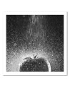 Canvas painting for the kitchen - Tomato in a trickle of water | FEEBY