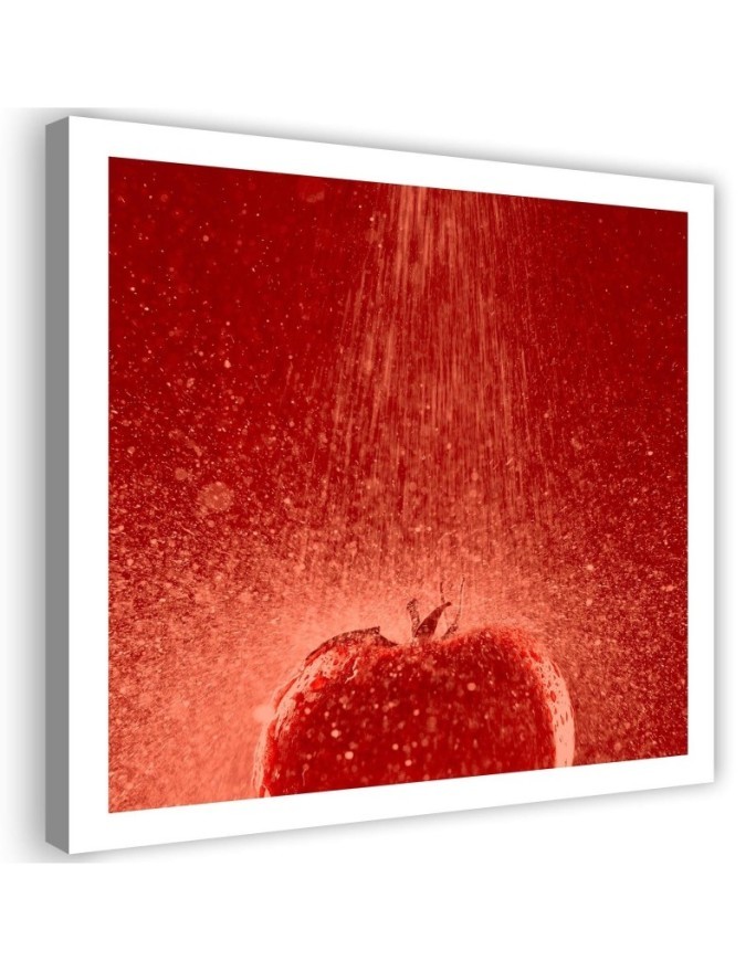 Modern Canvas paintings for the home for the kitchen - Tomato and water droplets | FEEBY