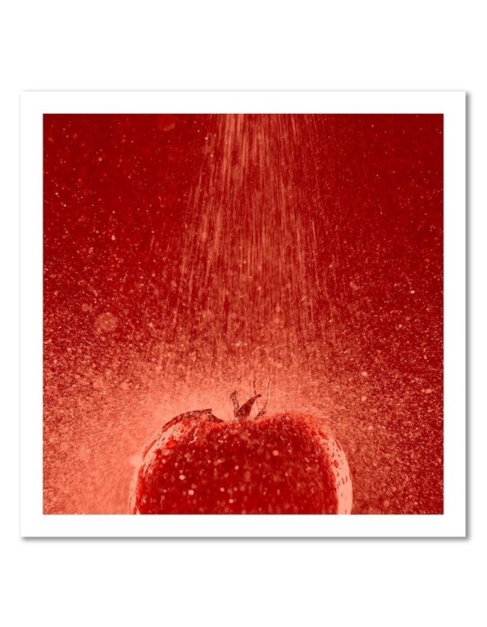 Modern Canvas paintings for the home for the kitchen - Tomato and water droplets | FEEBY