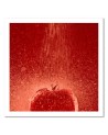 Modern Canvas paintings for the home for the kitchen - Tomato and water droplets | FEEBY