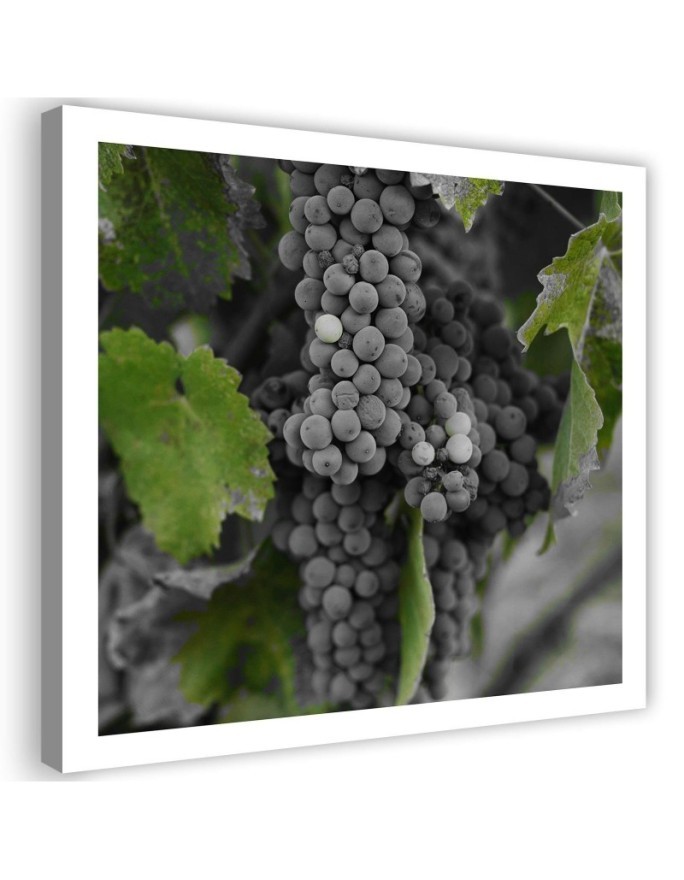 Picture Canvas painting for the kitchen - Grapes | FEEBY