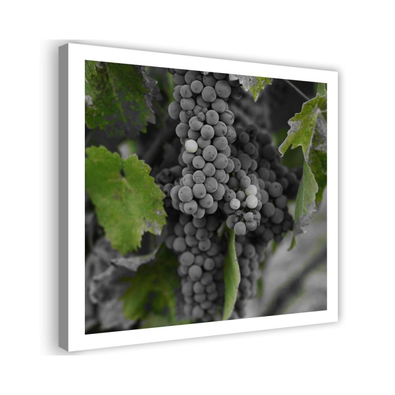 Picture Canvas painting for the kitchen - Grapes | FEEBY