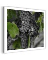 Picture Canvas painting for the kitchen - Grapes | FEEBY