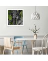 Picture Canvas painting for the kitchen - Grapes | FEEBY