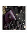Pictures on Canvas for the kitchen - Tasty pralines | FEEBY