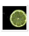 Wall art painting for the kitchen - Slice of lime geen| FEEBY