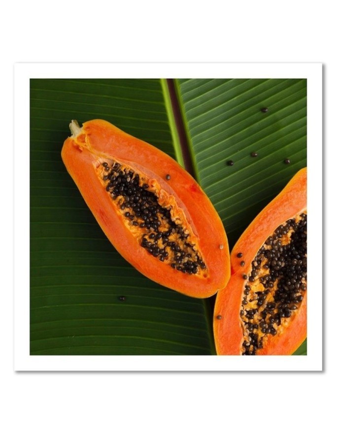Decorative Canvas painting for the kitchen - Papaya on a leaf | FEEBY